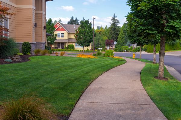 Cost of Sidewalk Patching in Richland