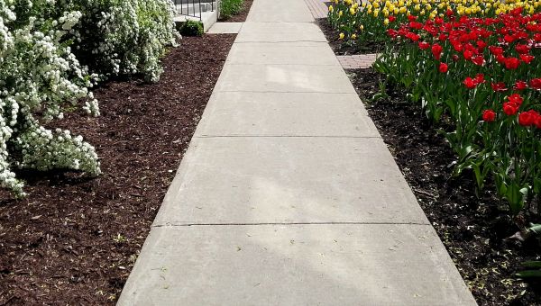 Cost of Concrete Pathway Repair in Richland